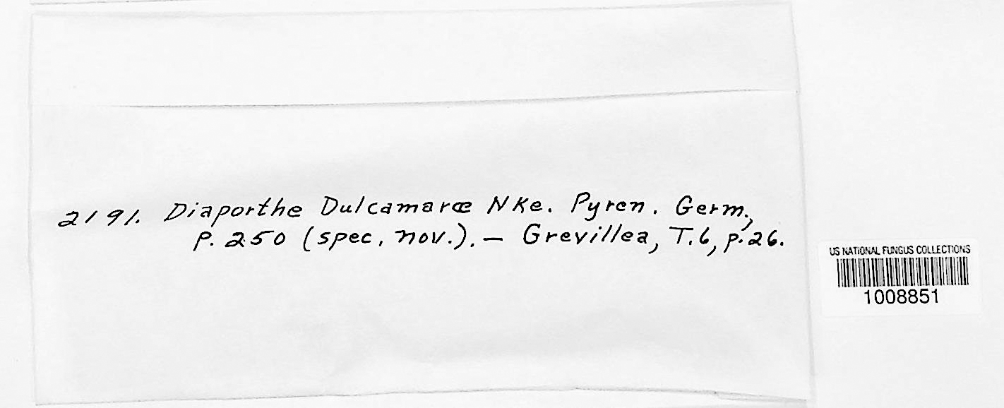 Diaporthe dulcamarae thumbnail